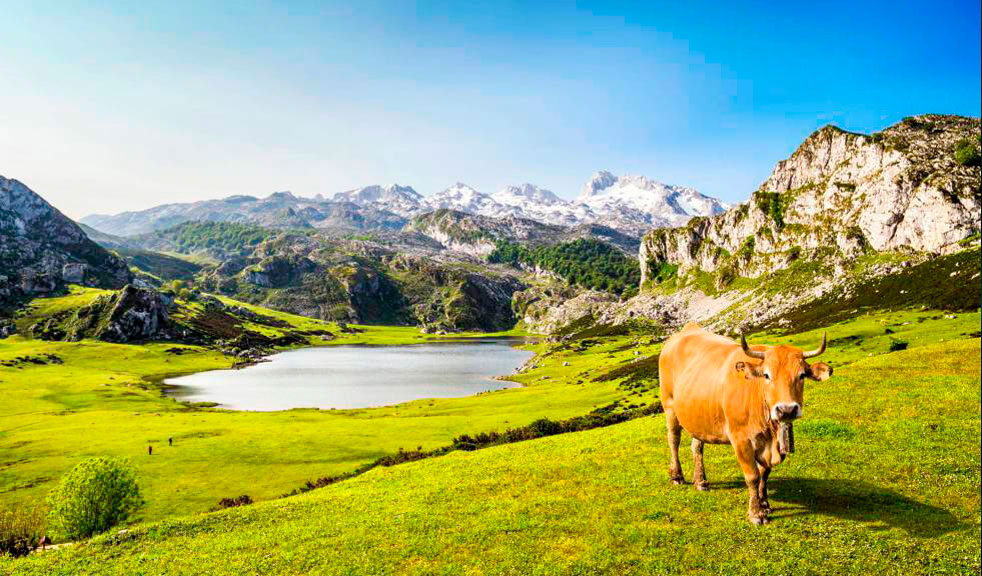 que visitar en asturias hotel rural montesomao